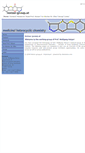 Mobile Screenshot of holzer-group.at